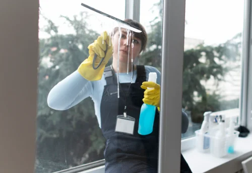 Nettoyage de vitres intérieures et extérieures à Chiatra
